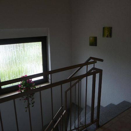 เพนชั่น อันเดรีย Hotel Lugau ภายนอก รูปภาพ